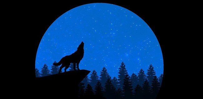 Native American Moon Signs: Meanings & Personalized Insights