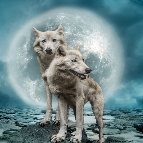 Native American Moon Signs: Meanings & Personalized Insights