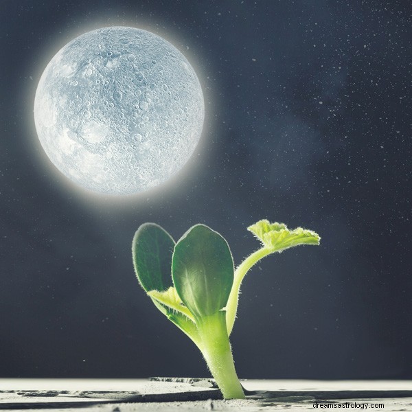 Native American Moon Signs: Meanings & Personalized Insights