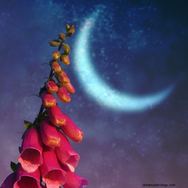 Native American Moon Signs: Meanings & Personalized Insights