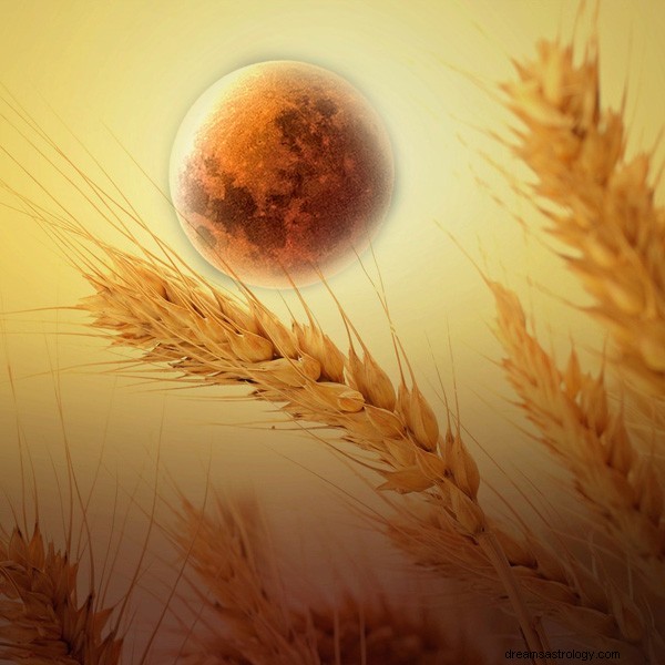 Native American Moon Signs: Meanings & Personalized Insights