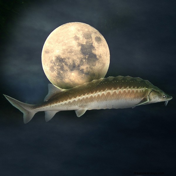 Native American Moon Signs: Meanings & Personalized Insights