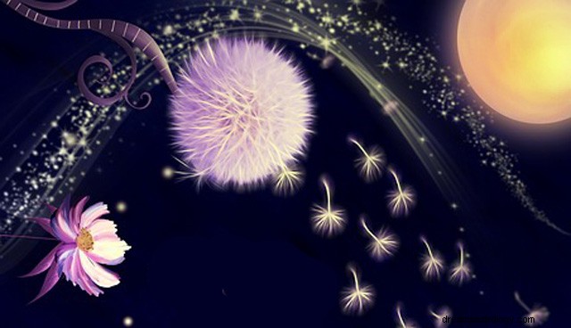 Zodiac Flowers: Discover Your Blooming Personality