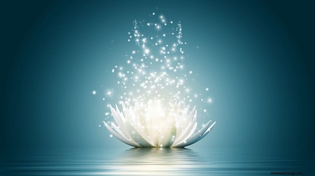 Zodiac Flowers: Discover Your Blooming Personality