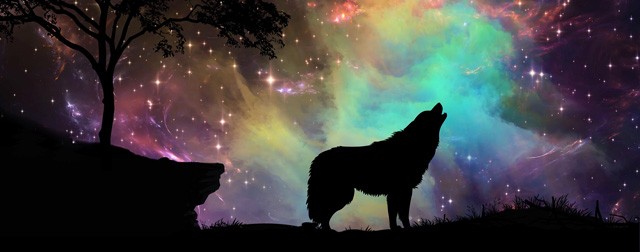 Decoding Native American Animal Birth Totems: Meaning & Significance