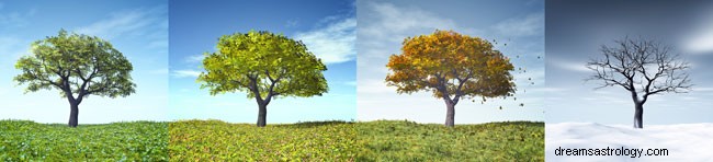 Astrology & Seasons: Understanding Cosmic Influences