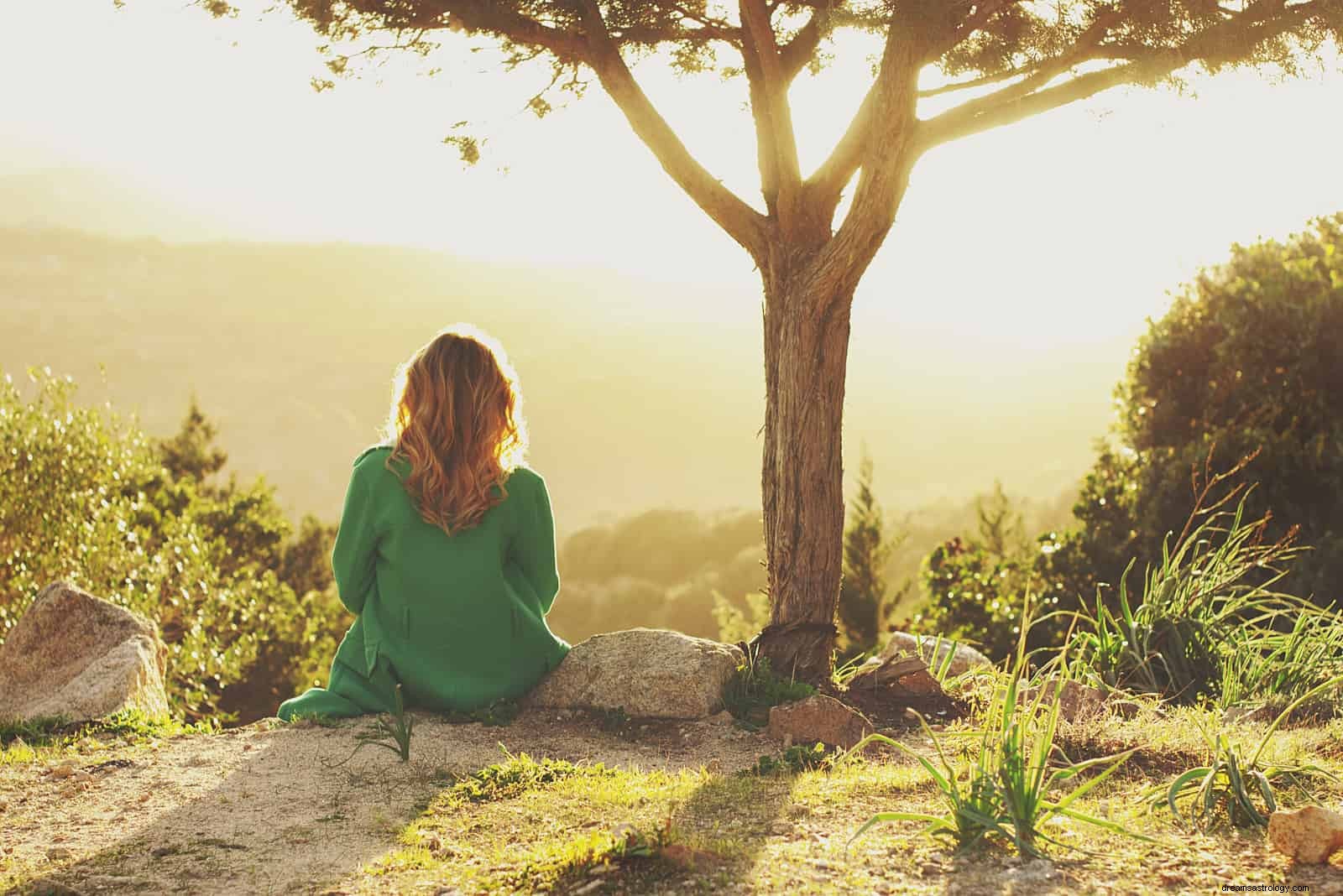 Moon Sign Compatibility: Understanding Emotional Connection in Relationships