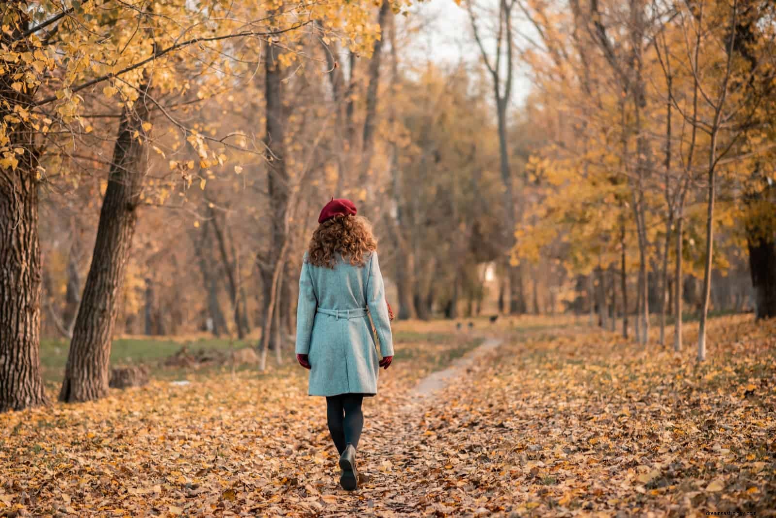 Moon Sign Compatibility: Understanding Emotional Connection in Relationships
