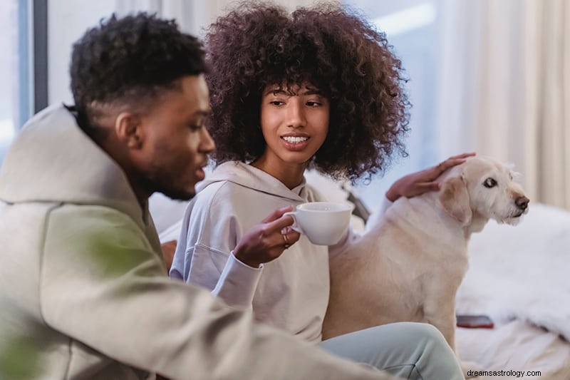 Virgo & Libra Compatibility: Love & Friendship - A Deep Dive