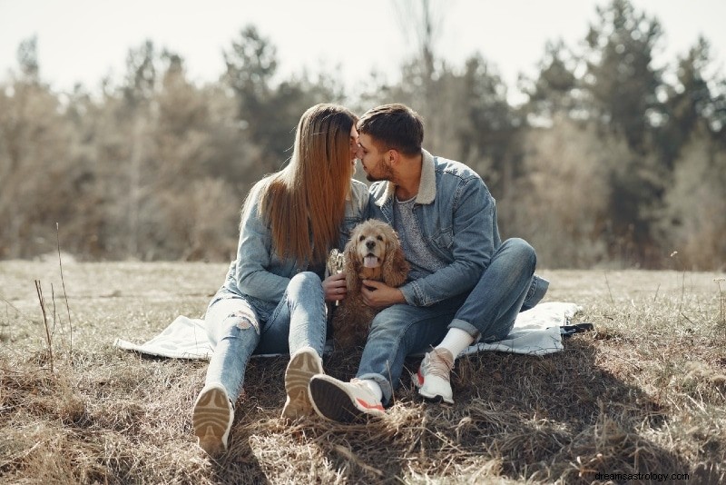 Zodiac Compatibility & Relationship Advice: What Your Sign Reveals