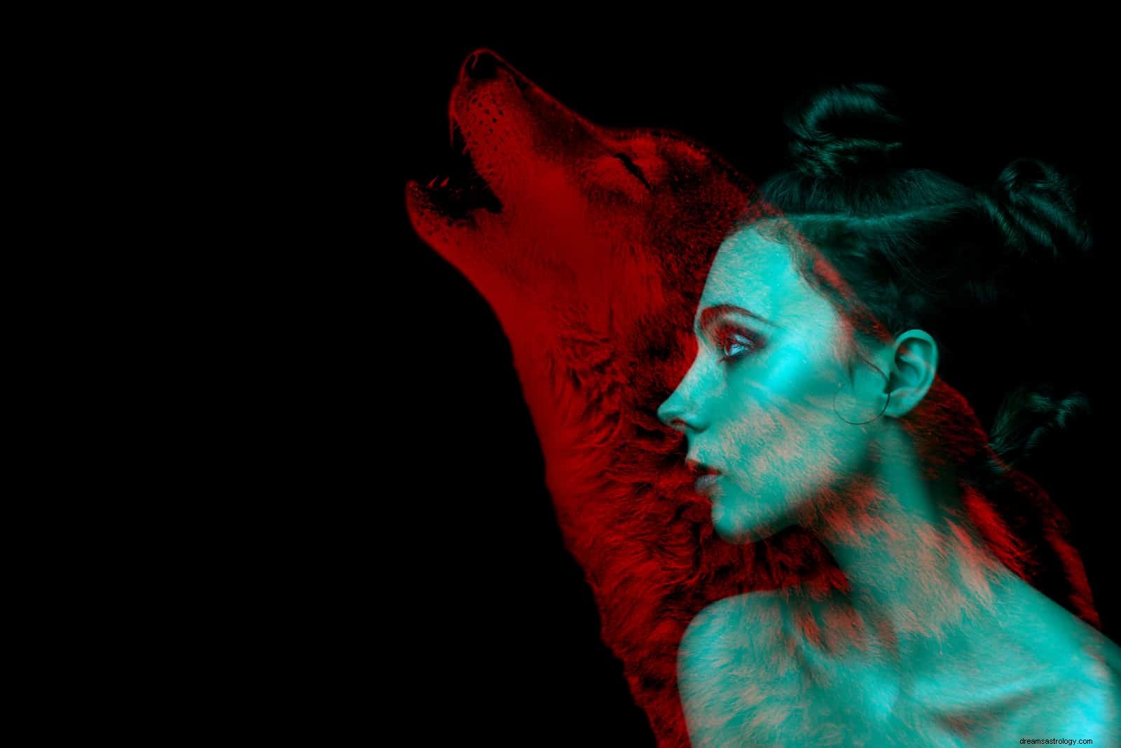 Discover Your Spirit Animal: Birthday Zodiac Compatibility Across 3 Traditions