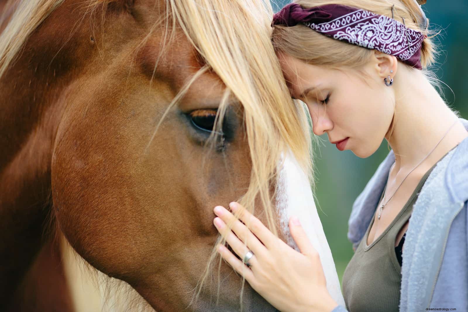 Discover Your Spirit Animal: Birthday Zodiac Compatibility Across 3 Traditions