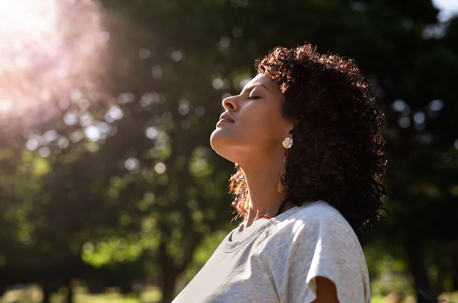 Discover Your Spirit Animal: Birthday Zodiac Compatibility Across 3 Traditions