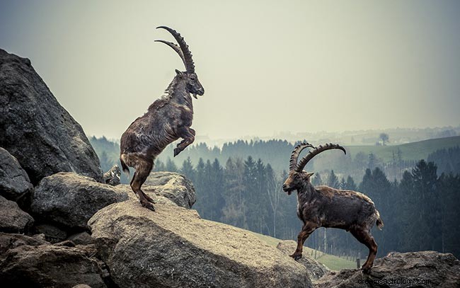 Pisces Sun Capricorn Moon: Personality, Strengths & Compatibility
