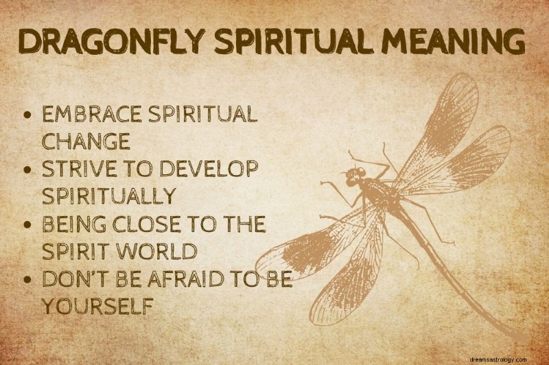 Dragonfly Spirit Animal: Unveiling the Symbolic Power of Dragonflies