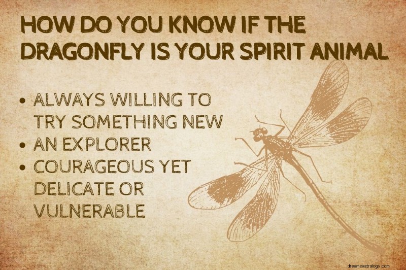 Dragonfly Spirit Animal: Unveiling the Symbolic Power of Dragonflies