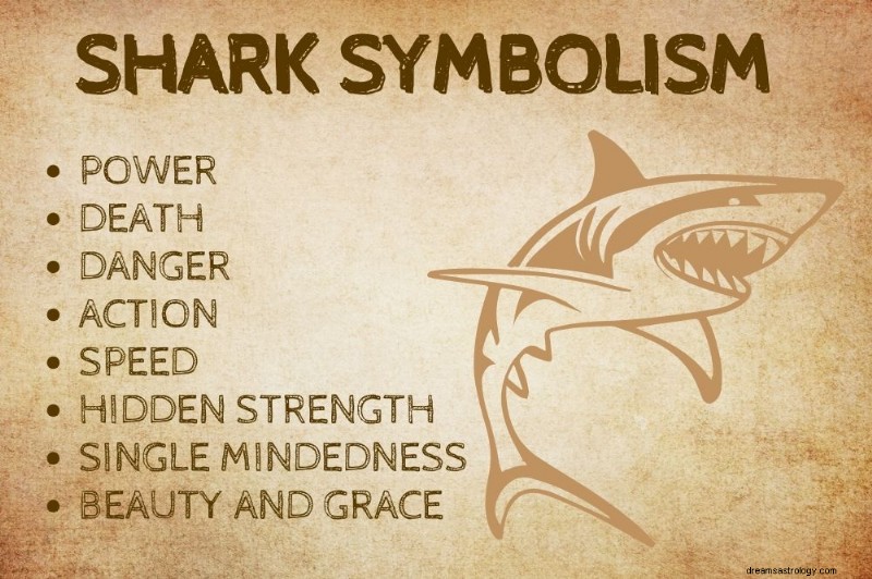Shark Spirit Animal: Exploring the Deep Symbolism of Sharks