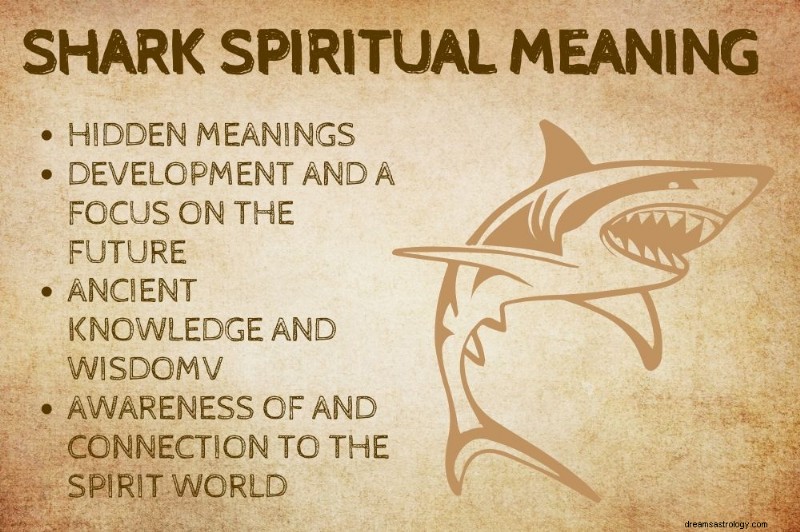 Shark Spirit Animal: Exploring the Deep Symbolism of Sharks