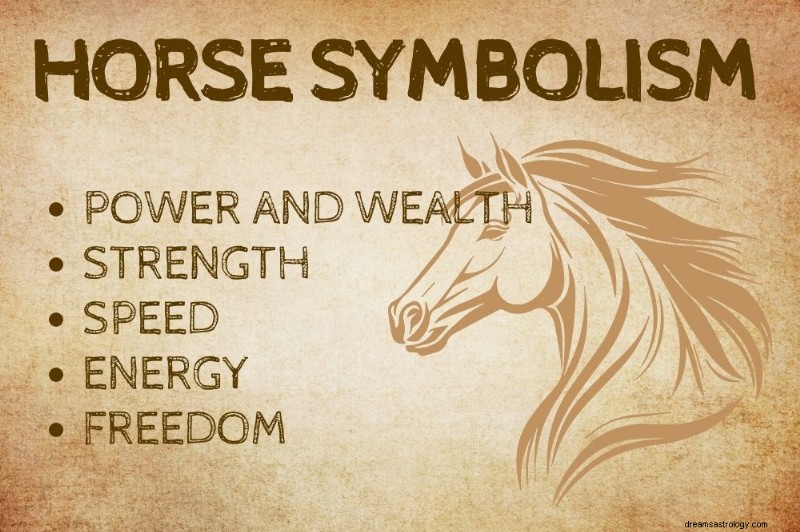 Horse Spirit Animal: Unveiling the Symbolic Power of Horses