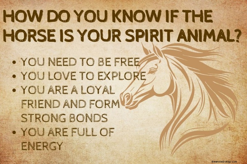 Horse Spirit Animal: Unveiling the Symbolic Power of Horses