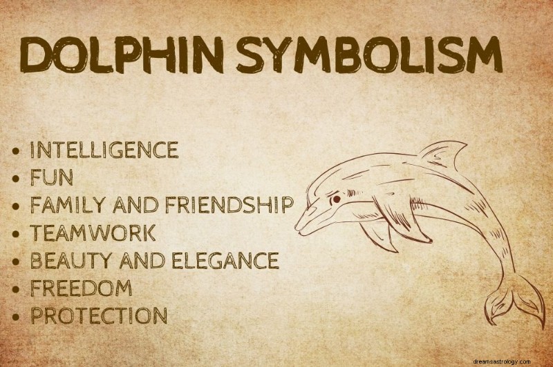 Discover the Powerful Symbolism of the Dolphin Spirit Animal