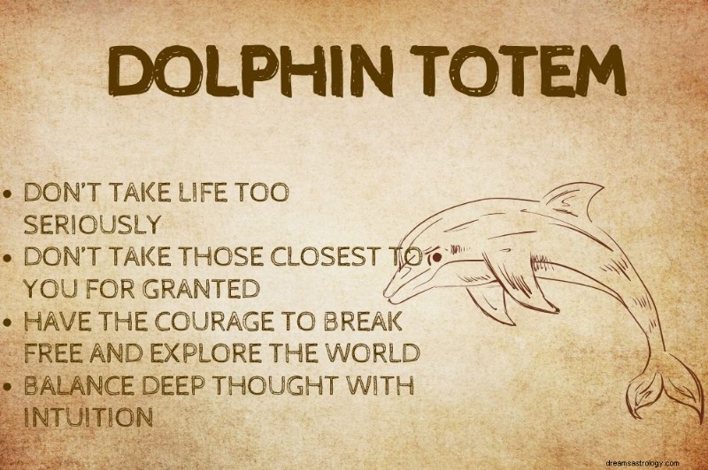 Discover the Powerful Symbolism of the Dolphin Spirit Animal