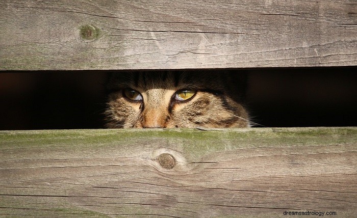 Unpacking Dreams of Hiding: What They Reveal About Your Inner Conflicts