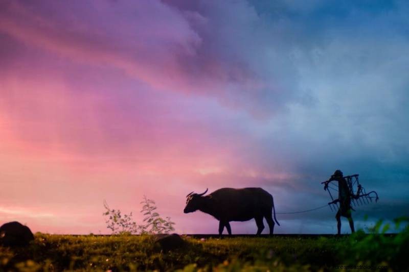 What It Means When You Dream About a Buffalo: Spiritual Significance Explained