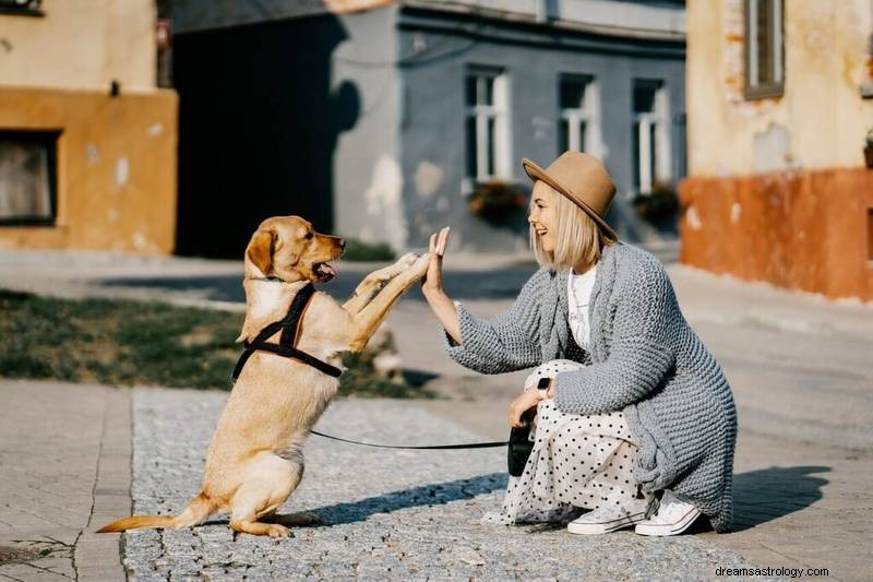 The Spiritual Significance of Dreaming About Being Bitten by a Dog
