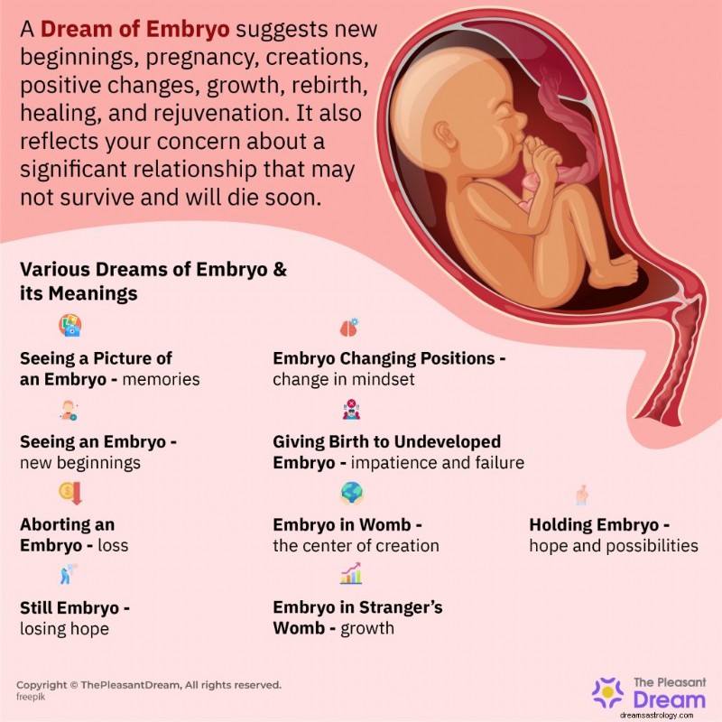 Embryo Dreams: Insights Into Rebirth, Growth, and New Beginnings