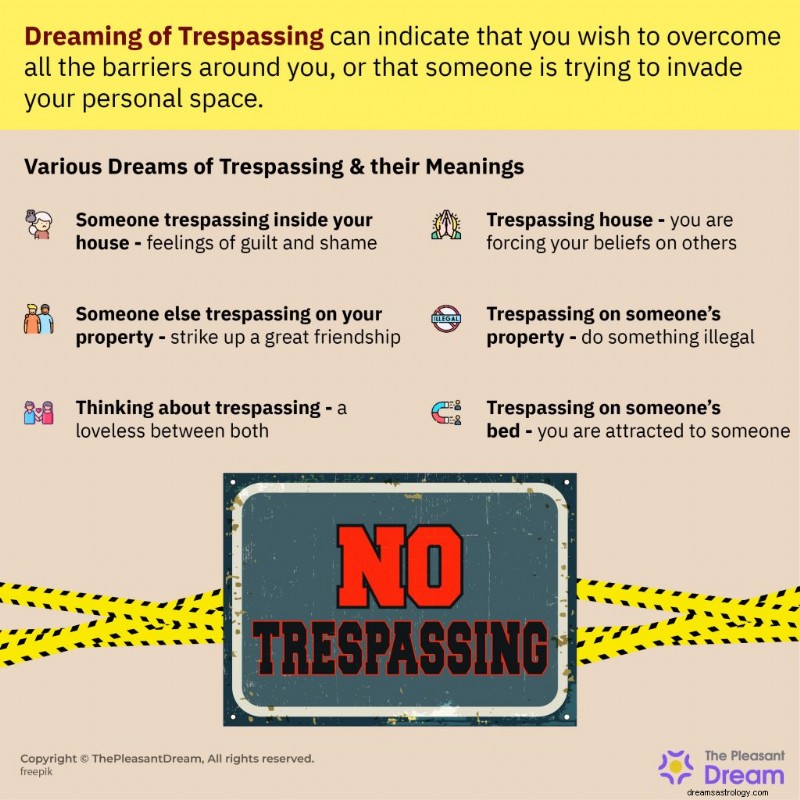 Dreaming of Trespassing? Decode the Warning About Personal Boundary Breaches