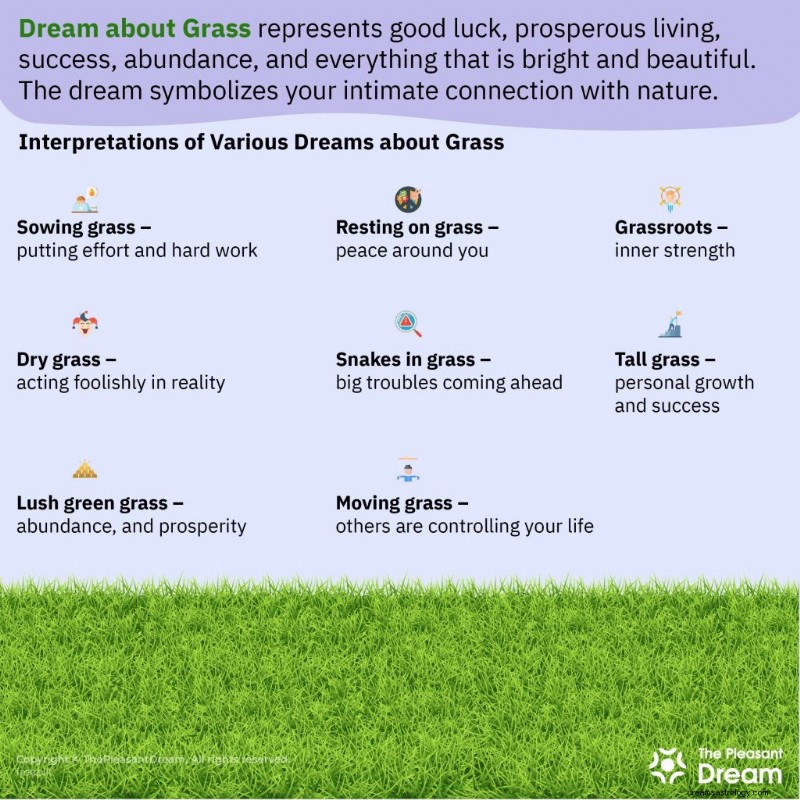 What Grass Dreams Mean: Unlocking Abundance, Prosperity, and Growth in Your Life