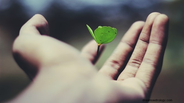When a Deceased Loved One Appears Alive in Your Dream: What It Signifies