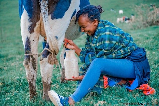 What Your Cow Dreams Mean: A Comprehensive Symbolic Guide