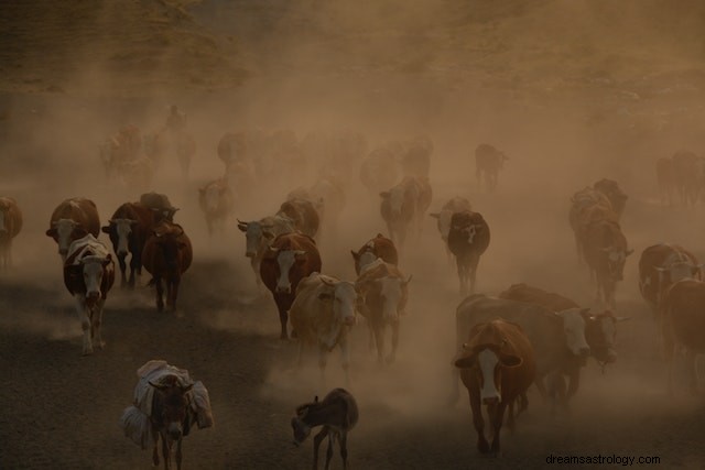 What Your Cow Dreams Mean: A Comprehensive Symbolic Guide