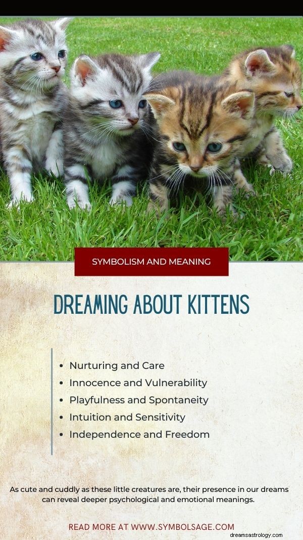 Decoding Dreams About Kittens: Symbolic Meanings and Insights
