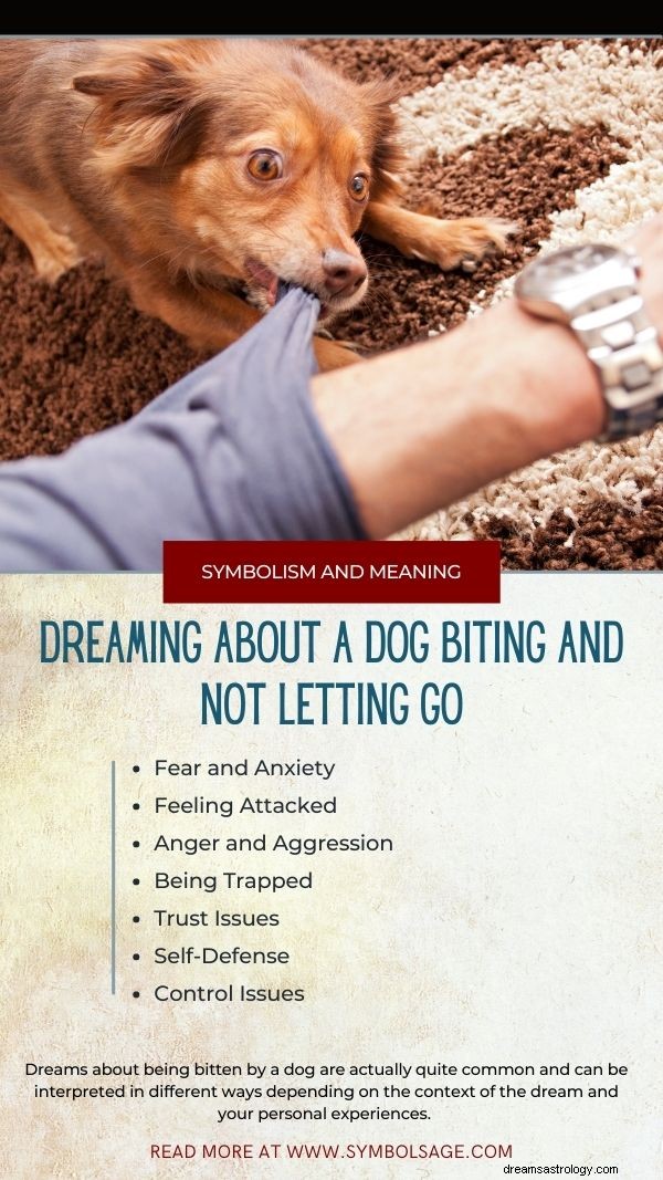 What It Means When a Dog Bites and Won’t Release in Your Dreams