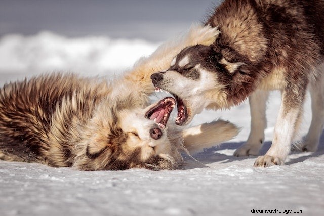 What It Means When a Dog Bites and Won’t Release in Your Dreams