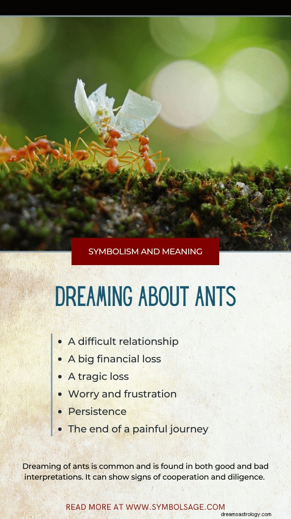 What Ant Dreams Reveal: Symbolism, Significance, and Meaning