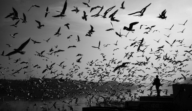 Tsunami Dreams Explained: Symbolism, Meaning, and Interpretation
