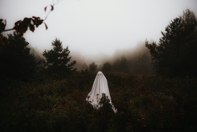 Dreaming of a Deceased Loved One: 20 Insightful Scenarios & Expert Interpretations