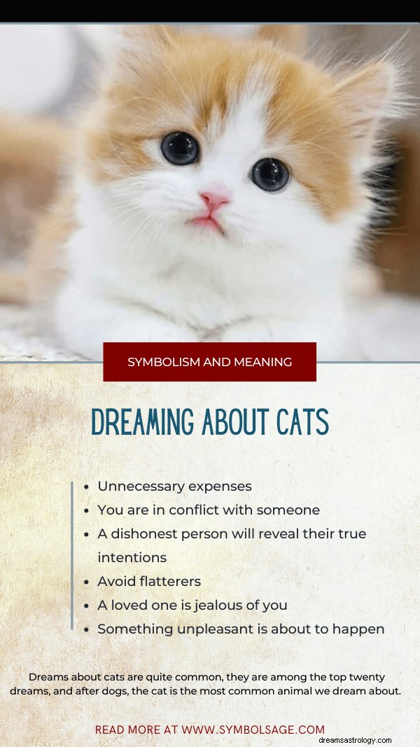 What Your Dream About Cats Might Reveal About Your Life