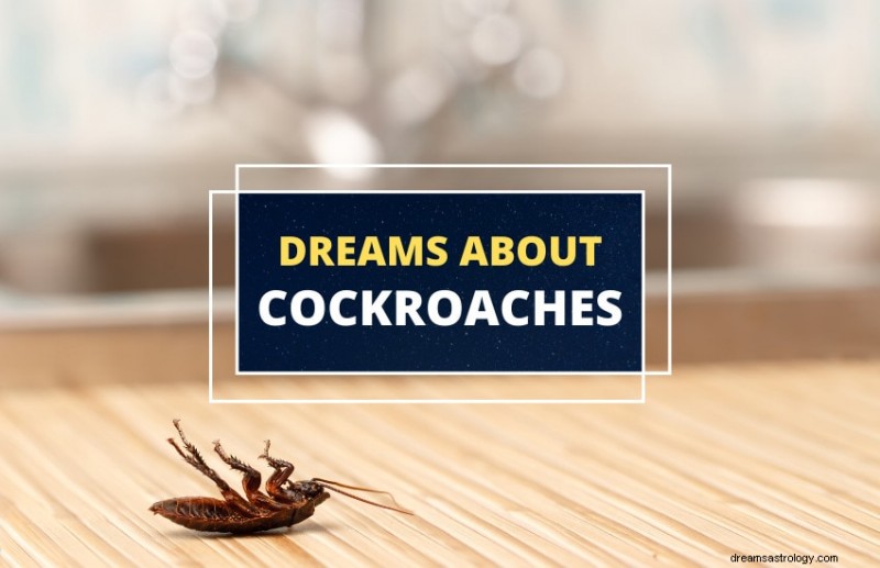 Decoding Dreams: What Cockroach Imagery Says About Your Life