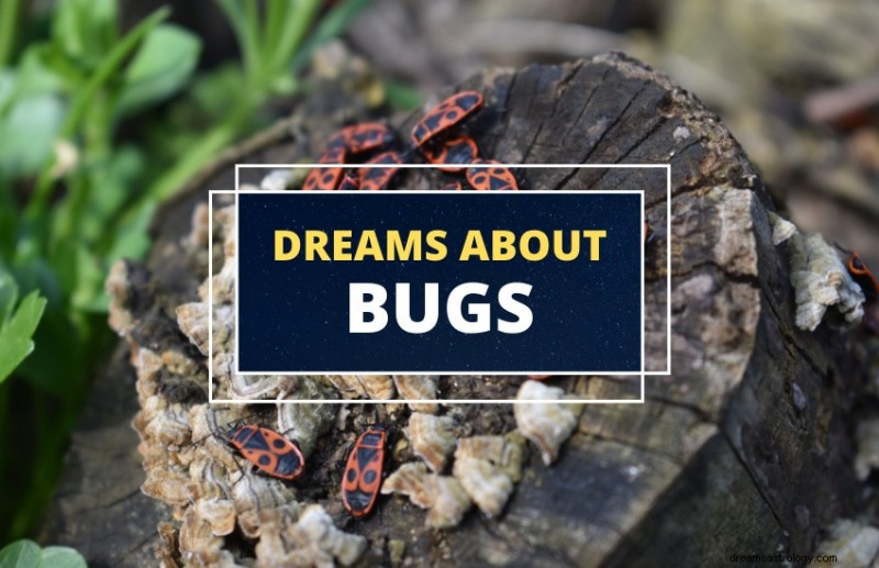 Interpreting Dreams About Bugs: What They Reveal About Your Life