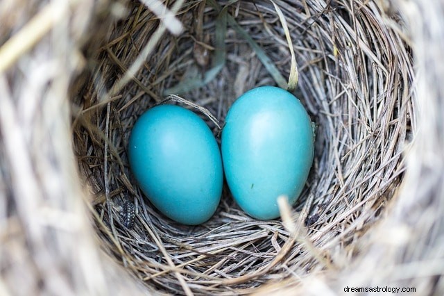 Egg Dreams Decoded: Uncover Their Hidden Meanings