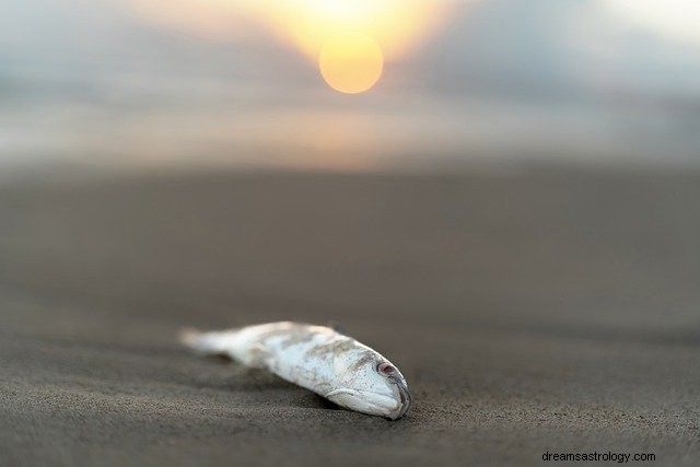 Dreams of Dead Fish: Unveiling Their Hidden Meanings