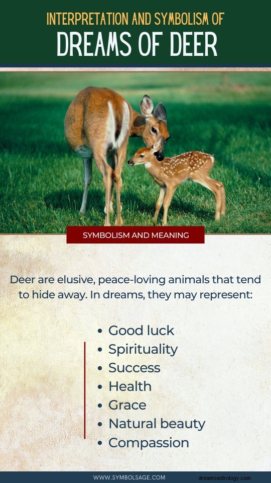 Decoding Deer Dreams: Expert Insights into Their Meaning and Significance