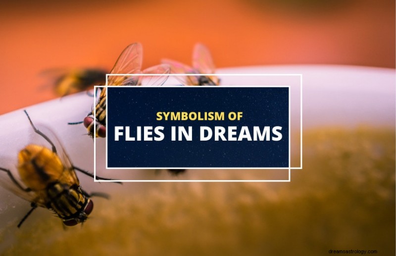Unveiling the Meaning Behind Dreams of Flies