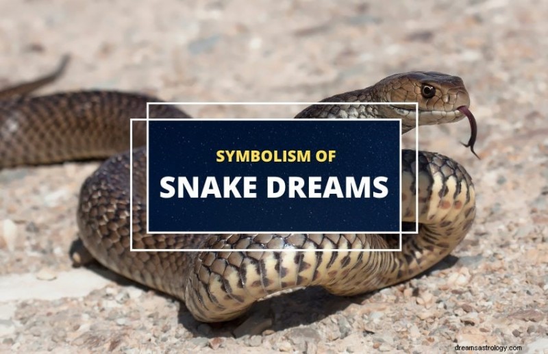 Unveiling the Symbolism: 21 Insightful Interpretations of Snake Dreams