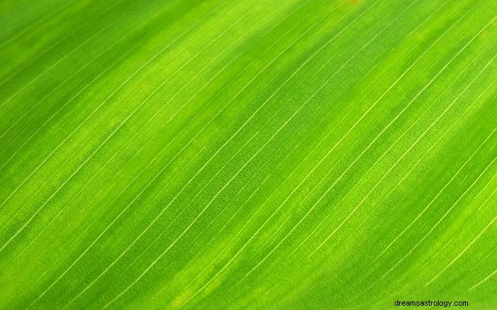 Decoding the Symbolic Meaning of Green in Dreams